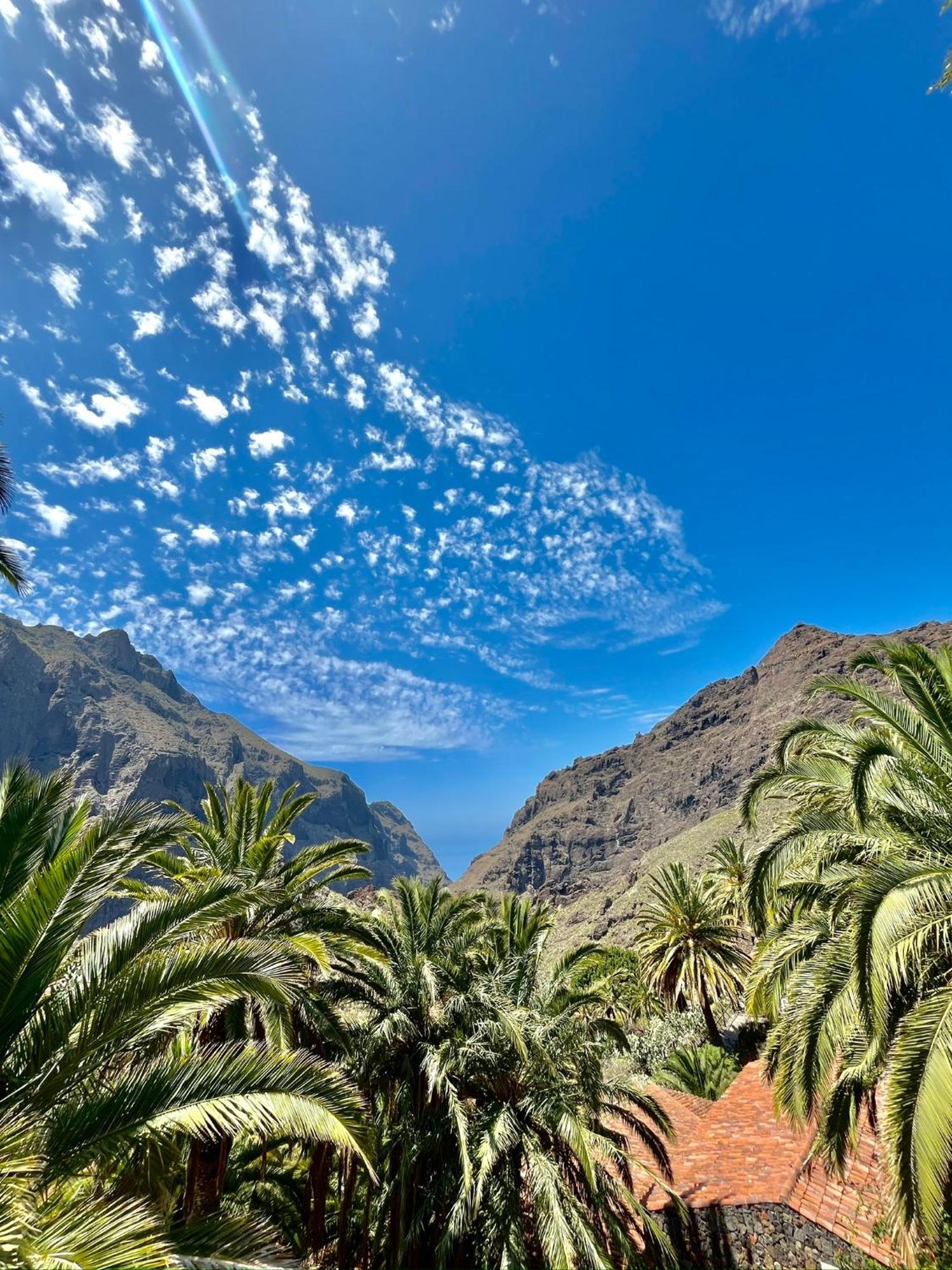 Tenerife Playa La Arena Puerto de Santiago  Zewnętrze zdjęcie